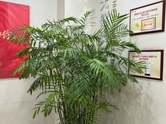 -美年大健康体检中心(太阳宫分院)