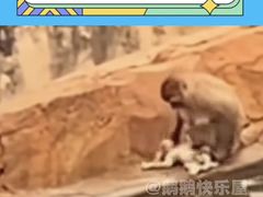 -昆明动物园