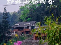 -梧桐山风景名胜区