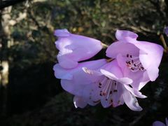 -九峰山