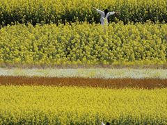 -中国天府农业博览园