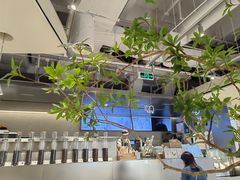 -喜茶(深圳东门1234店)