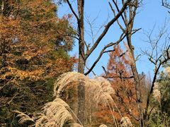 -山王坪喀斯特国家生态公园