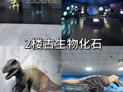 -甘肃省博物馆