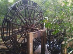 -大屏嶂森林公园