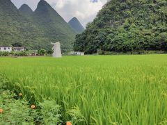 -万峰林风景区