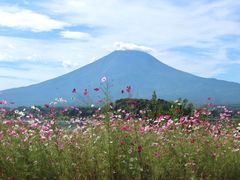 -富士山吉田線五合目