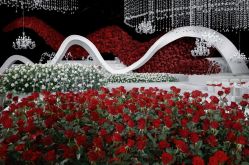 -阿达摄影(万城·新天地店)