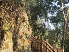 -黄金沟旅游风景区