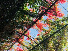 -The Grounds of Alexandria