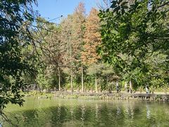 -深圳仙湖植物园