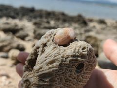 -三亚西岛海洋文化旅游区