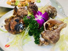 -有腥气私房菜·寻味顺德