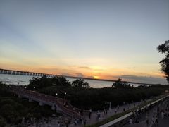 -宝安西湾红树林湿地公园