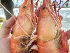 -品鲜村农家菜·阳澄湖大闸蟹(总店)