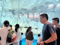 -帝企鹅自助餐厅•儿童岛•真企鹅(长隆企鹅酒店)