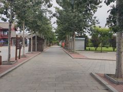 -杨柳青庄园