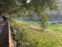 -洞背山庄(洞背院区式管理小区店)