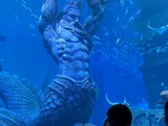 -哈尔滨波塞冬海底世界