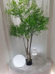 -VE小颜皮肤管理&科学美肤中心