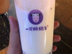 -一只酸奶牛(八一路店)