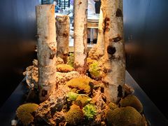 景观位-四季酒店·空中花园 Aria on 9