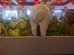 -进京涮肉·羊蝎子火锅(桓台店)