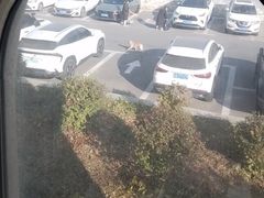 -星河湾温泉洗浴酒店