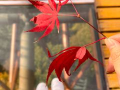 -少华山国家森林公园