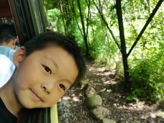 -合肥滨湖国家森林公园