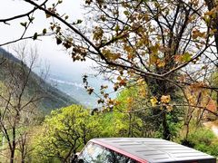 -星巴克(西安曲江银泰店)