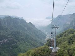 -王莽岭风景区