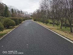 -宜兴龙背山森林公园