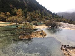 -黄龙山原始森林景区