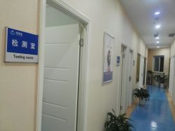 -碧莲盛·不剃发植发