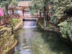 -云南屏边大围山国家公园