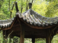 -西岭雪山大飞水景区