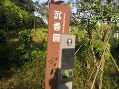 -中山市树木园