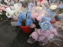 -循礼门鲜花花市(武汉循礼门店)