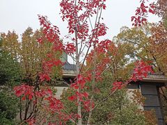 -南通博物苑-崇川人民公园