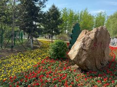 -长白岛森林公园