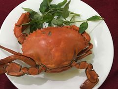 -QQ海鲜餐厅