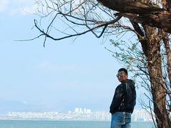 -洱海月湿地公园