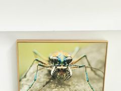 -上海昆虫博物馆