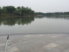 iphone_upload_pic-南翔镇银翔湖公园