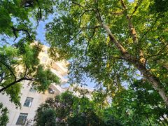 -湖北美术学院(昙华林校区)