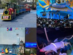 -海合安天津极地海洋公园