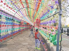-河北村民俗体验园