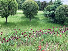 -长春公园(普阳街道)