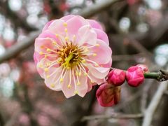 -渭河城市绿地运动公园